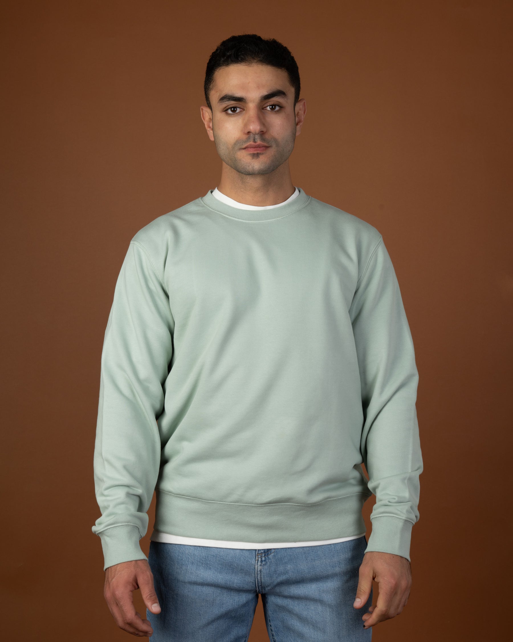 Mint crewneck sweatshirt